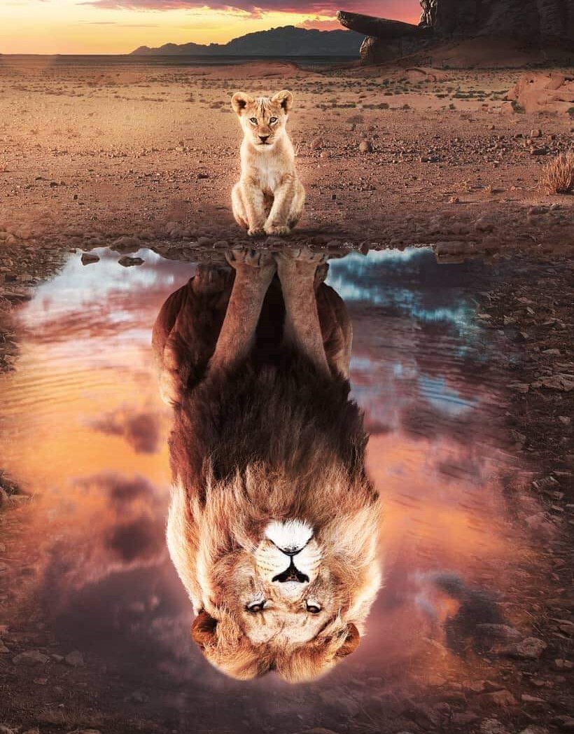 Thibault-testimonial